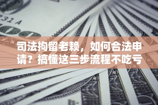 北京司法拘留老赖，如何合法申请？搞懂这三步流程不吃亏！