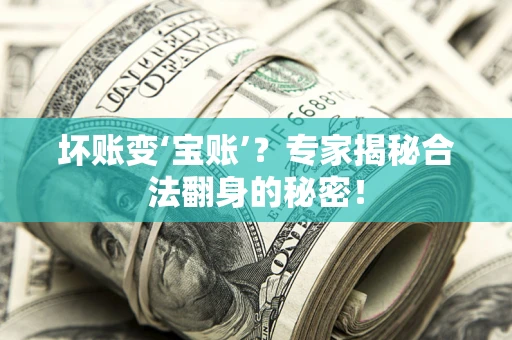 北京坏账变‘宝账’？专家揭秘合法翻身的秘密！
