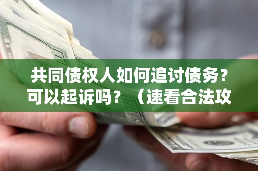 北京共同债权人如何追讨债务？可以起诉吗？（速看合法攻略）