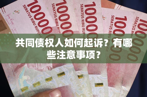 北京共同债权人如何起诉？有哪些注意事项？